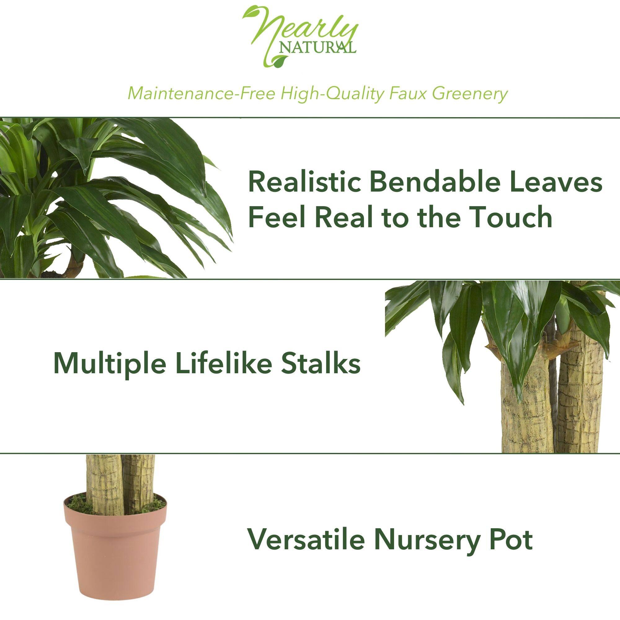 5ft. Corn Stalk Dracaena Silk Plant